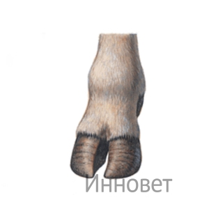 Средство для копытных ванн