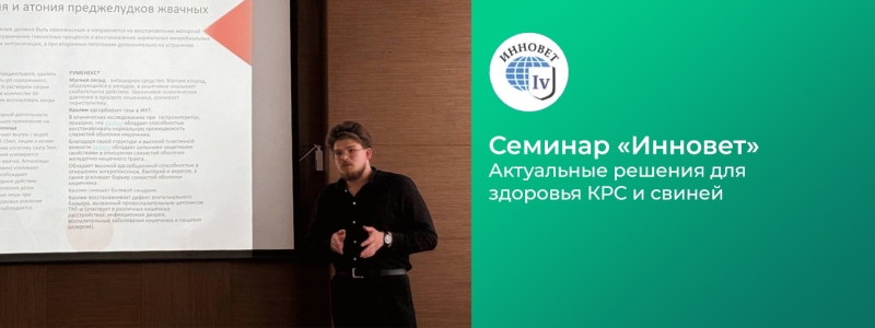 Семинар «ИнноВет»: актуальные решения для здоровья КРС и свиней.