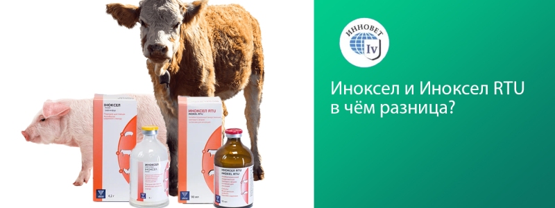 Иноксел и Иноксел RTU — в чём разница?