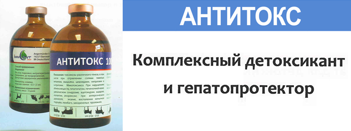 Результаты клинической апробации препарата «Антитокс» при жировой дистрофии печени у молочных коров