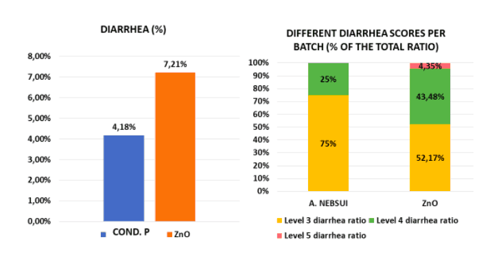 поносы у поросят рисунок 7