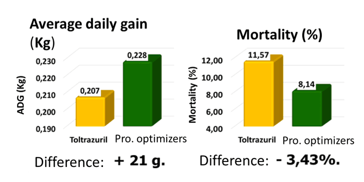 поносы у поросят рисунок 6