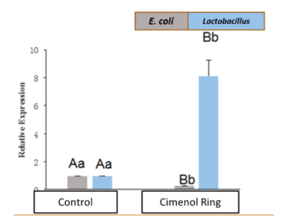 поносы у поросят рисунок 4