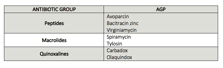 поносы у поросят рисунок 3