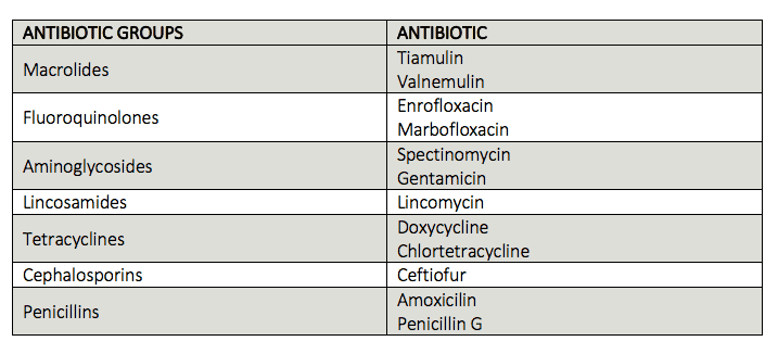 поносы у поросят рисунок 2