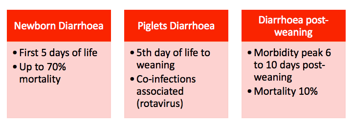 поносы у поросят рисунок 1