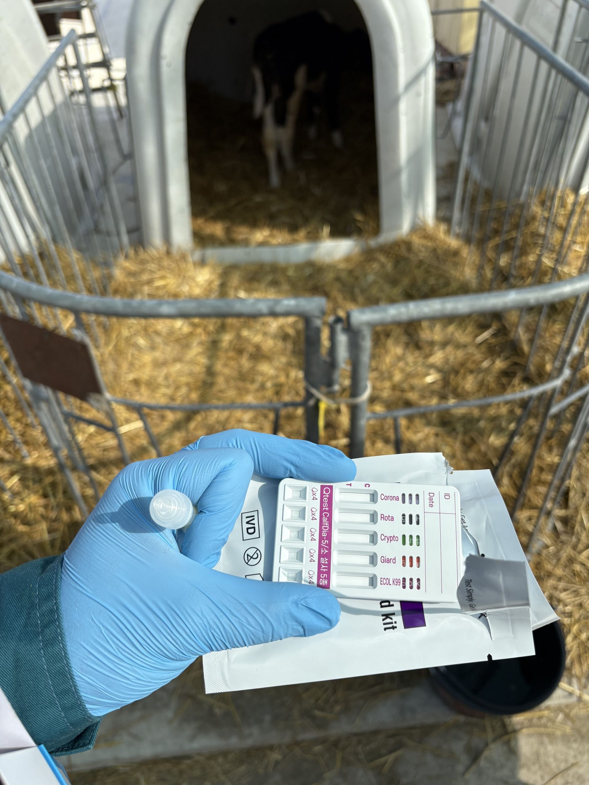 Процесс оценки теста специалистом ИнноВет