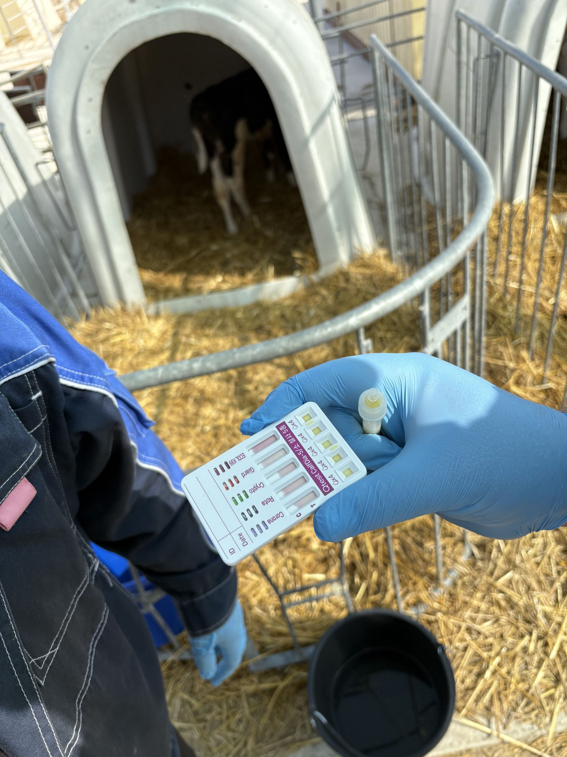 Оценка результатов диагностики вирусных заболеваний