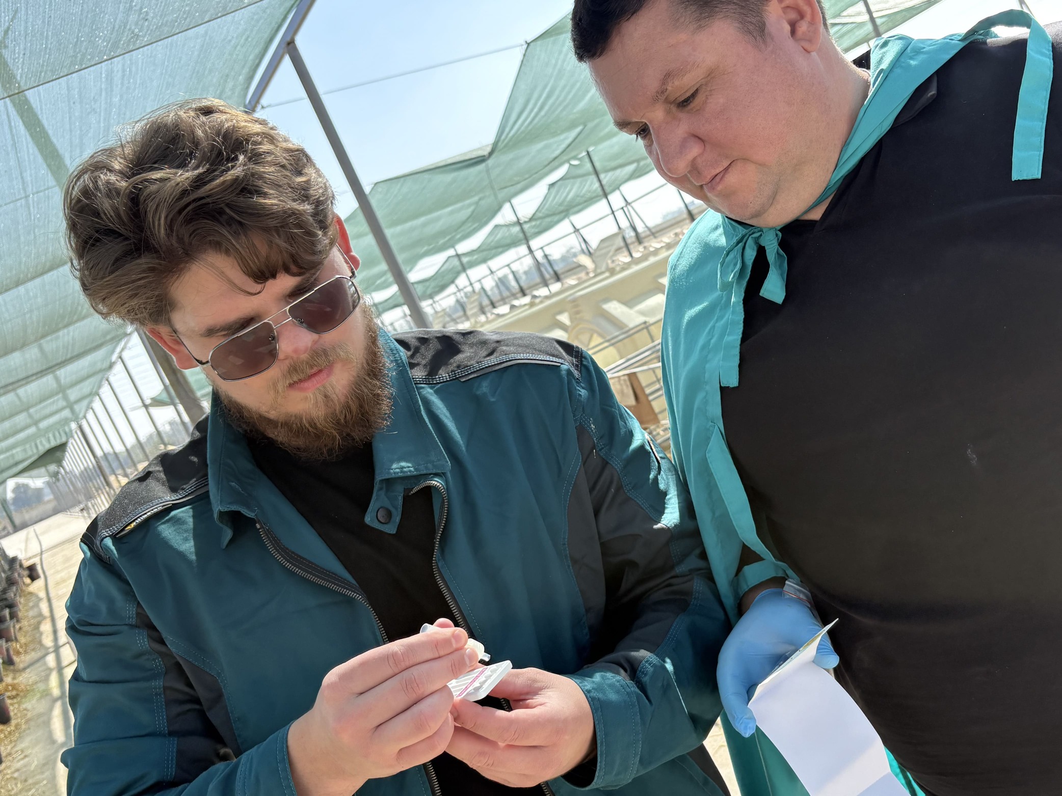 Сотрудники ИнноВет обсуждают результаты мониторинга