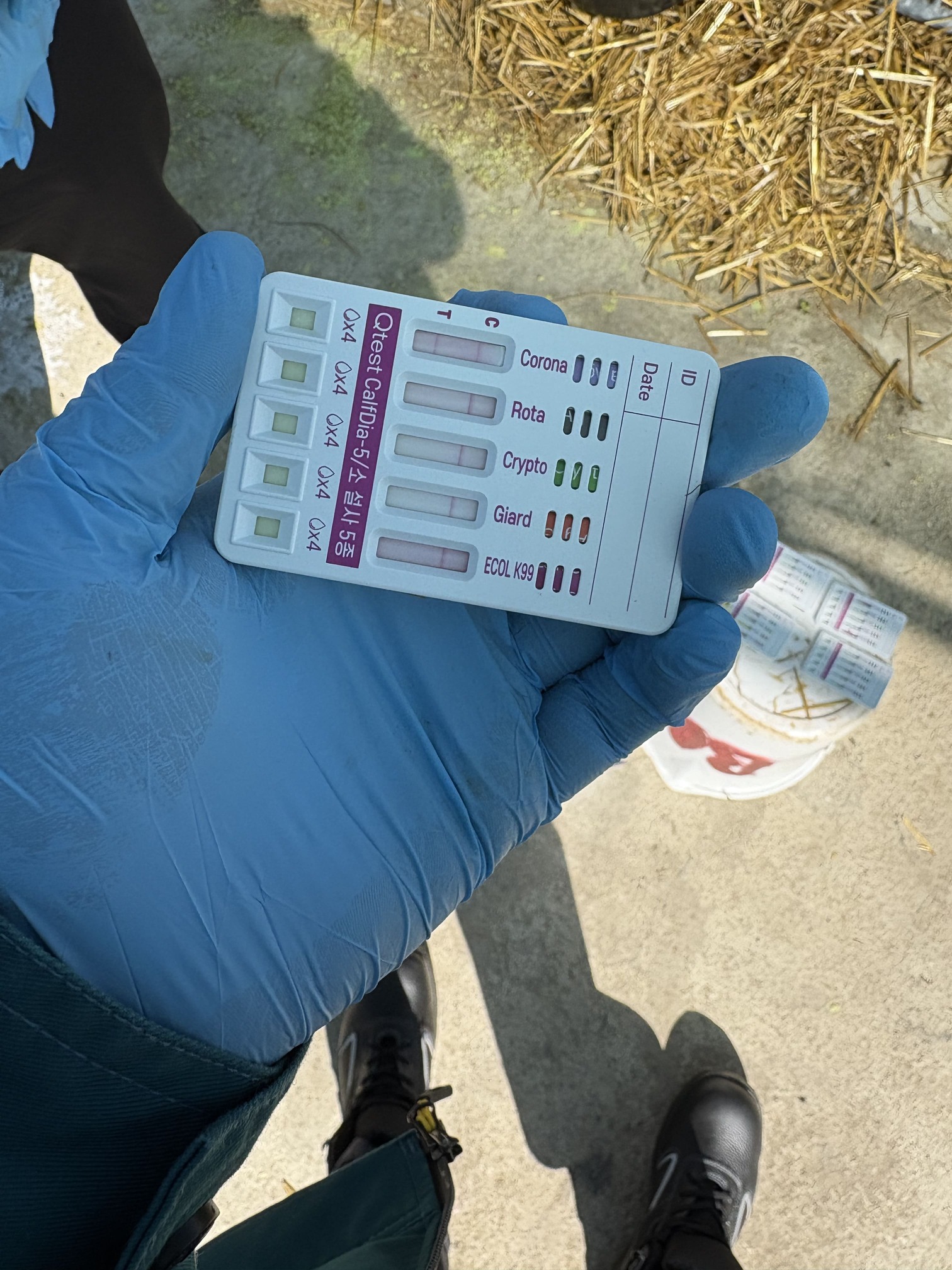 Лабораторные тесты вирусных заболеваний телят